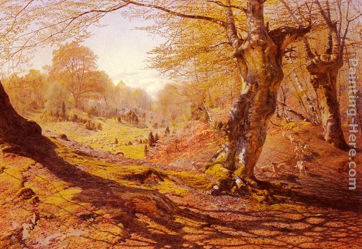 Andrew MacCallum Seasons In The Wood - Spring, The Outskirts Of Burham Wood